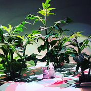 #clickandgrow, #вегаджет, #smartpot, #herbalgarden, #умныйсад, #смартпот, #кликэндгроу, #smartgarden