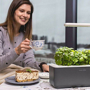 #clickandgrow, #вегаджет, #smartpot, #herbalgarden, #умныйсад, #смартпот, #кликэндгроу