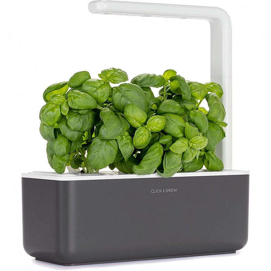 Умный сад Click and Grow Smart Garden 3 Базилик (чёрная крышка)