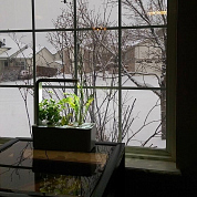 #clickandgrow, #вегаджет, #smartpot, #herbalgarden, #умныйсад, #смартпот, #кликэндгроу