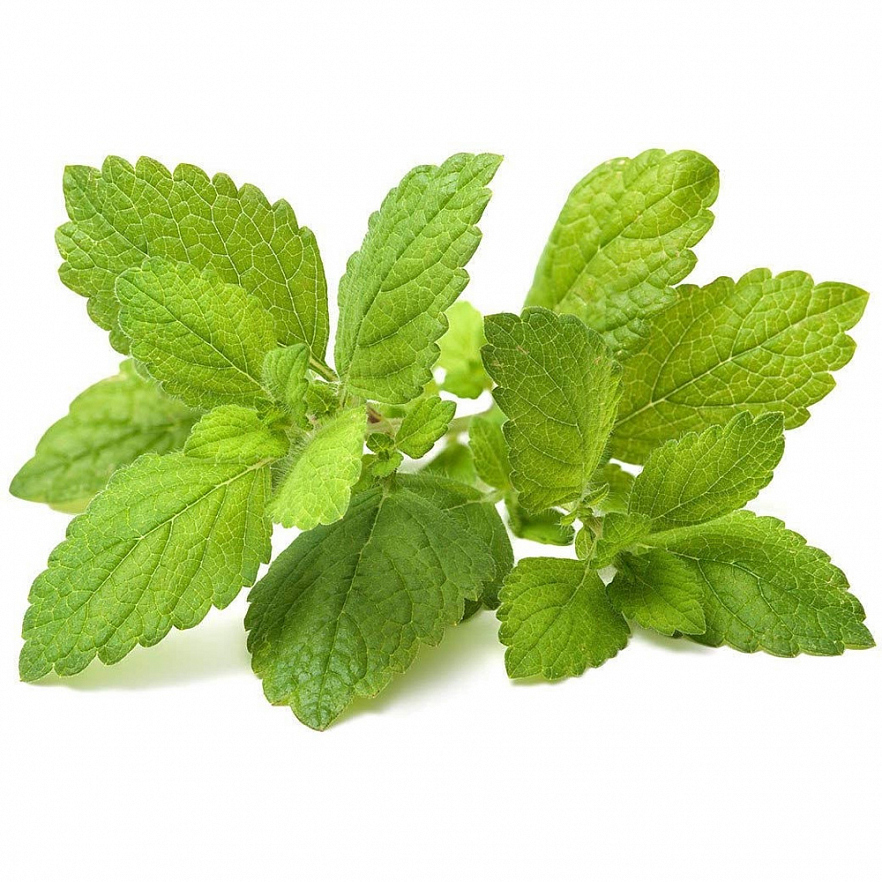 Набор картриджей для умного сада Click and Grow Refill 3-Pack Мелисса (Lemon Balm)