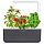 Умный сад Click and Grow Smart Garden 3 Базилик / Томаты Черри / Перец Чили (чёрная крышка)
