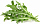 Набор картриджей для умного сада Click and Grow Refill 3-Pack Горчица салатная (Leaf Mustard)