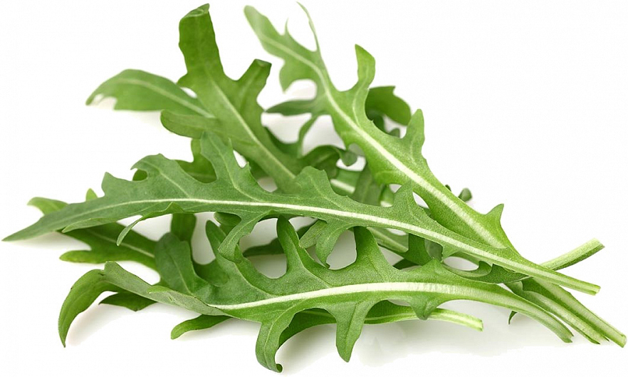 Набор картриджей для умного сада Click and Grow Refill 3-Pack Горчица салатная (Leaf Mustard)