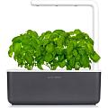 Умный сад Click and Grow Smart Garden 3 Базилик (чёрная крышка)