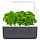 Умный сад Click and Grow Smart Garden 3 Базилик (чёрная крышка)