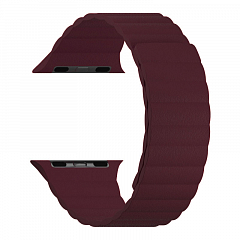 Кожаный ремешок LYAMBDA Pollux для Apple Watch 38/40 мм бордовый (DSJ-24-40-WR)