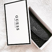 #icasesru, #guess