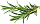 Набор картриджей для умного сада Click and Grow Refill 3-Pack Розмарин (Rosemary)