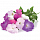 Набор картриджей для умного сада Click and Grow Refill 3-Pack Петуния (Petunia)