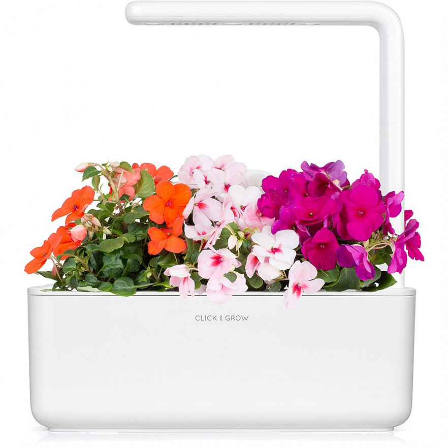 Набор картриджей для умного сада Click and Grow Refill 3-Pack Бальзамин (Busy Lizzie)