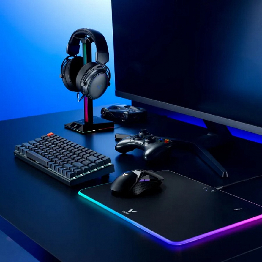Беспроводная/проводная игровая мышь RAPOO VT950Pro черная