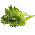 Набор картриджей для умного сада Click and Grow Refill 3-Pack Горчица Васаби (Wasabi Mustard)
