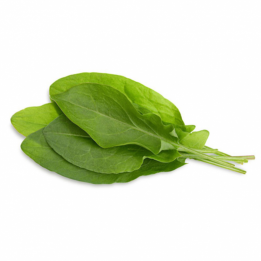 Набор картриджей для умного сада Click and Grow Refill 3-Pack  Зеленый Щавель (Green Sorrel)