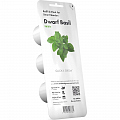 Набор картриджей для умного сада Click and Grow Refill 3-Pack Карликовый Базилик (Dwarf Basil)