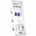 Набор картриджей для умного сада Click and Grow Refill 3-Pack Василёк (CornFlower)