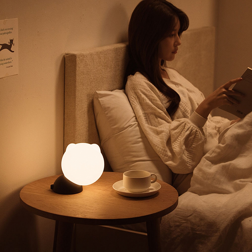 Портативный ночник SOLOVE Night light 2000mAh Type-C Чёрный (001D Black RUS)